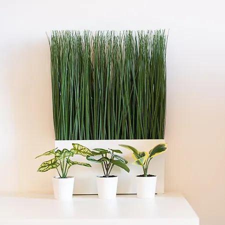 Apartment Colosseo Modern By In